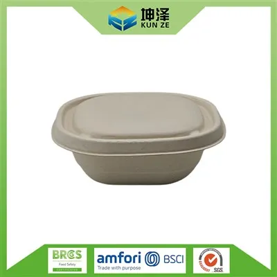 Bol de unica folosinta cu capac